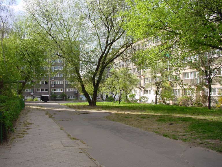 Zatrasie