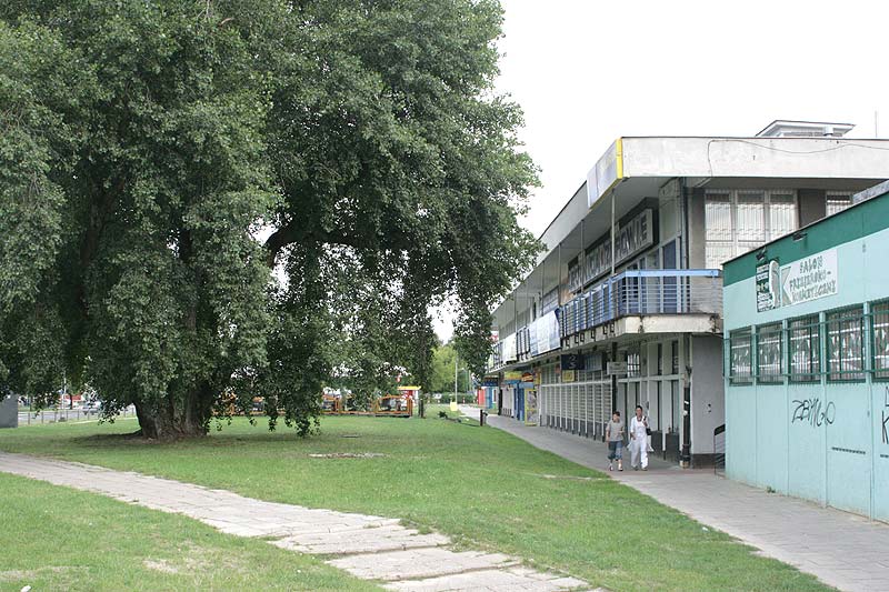 Broniewskiego 7