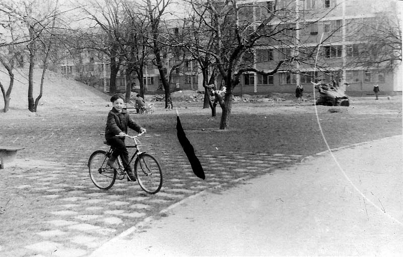 górka i korzeń